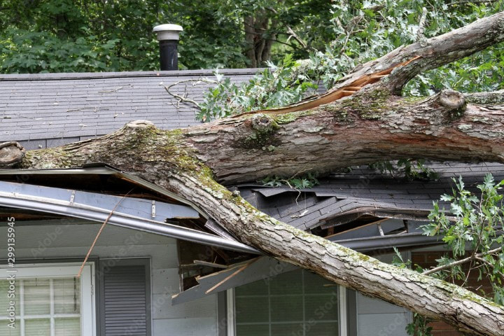 An image of Storm Damage Services in Matthews, NC